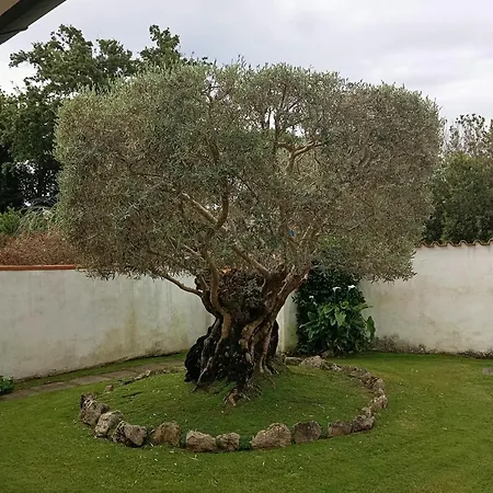 La Casetta Di Daniela